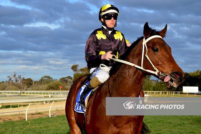 Good to get another win with Credible Witness at <a href="/EchucaRaceClub/">Echuca Racing Club</a> good way to finish the 16/17 season off for Cameron Racing