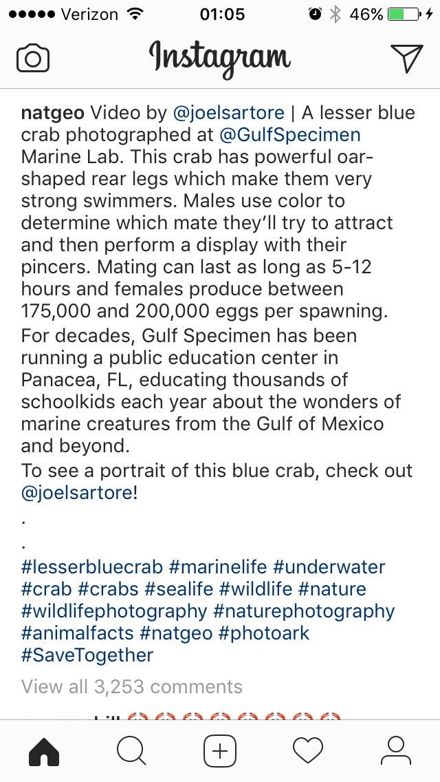 SmashTown28's tweet photo. So the "lesser blue crab" mates for 5-12 hours and can father 175,000-200,000 eggs as a result?!? Lesser my ass! #namingfail @NatGeo 😂 https://t.co/j8yVFit9Xg