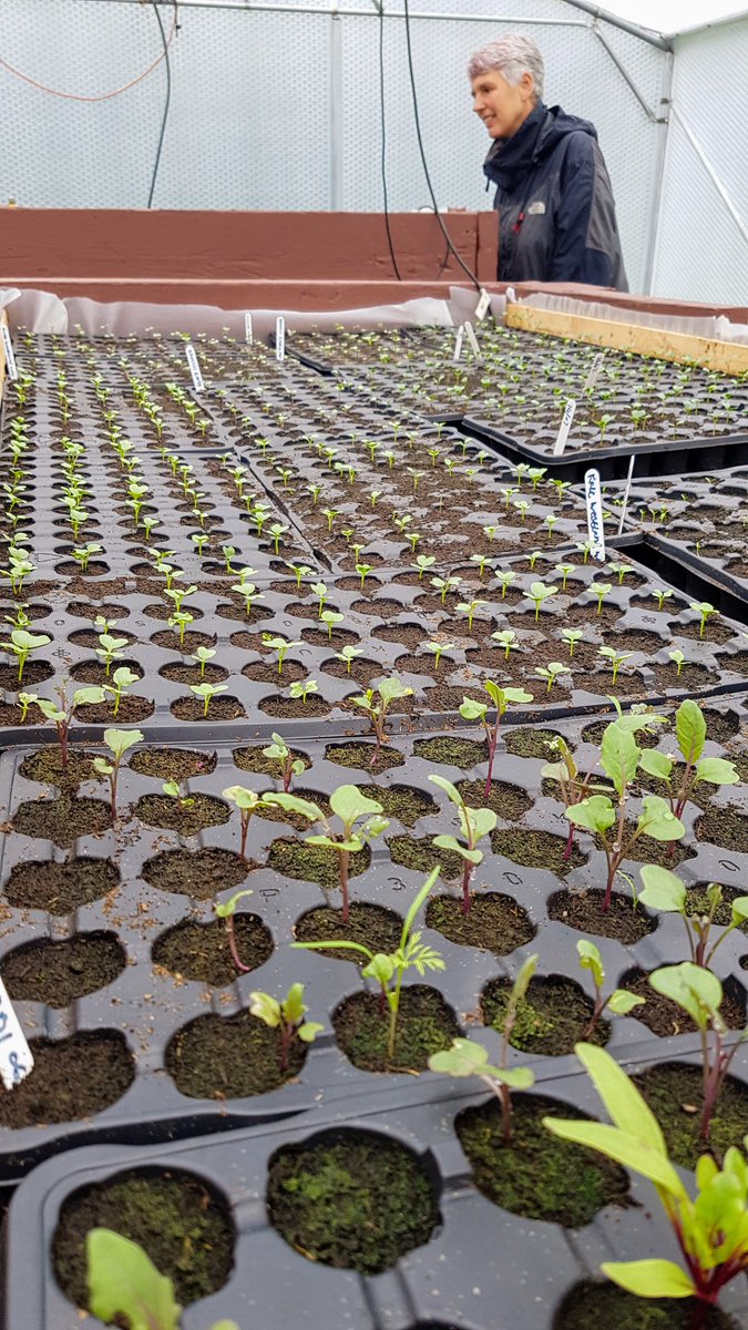 edicityacres's tweet photo. Thank you Rob @Cyrenians1968 and @nourishscotland for an inspiring visit to the farm! #fresh #local https://t.co/igoFY6ZQ3z
