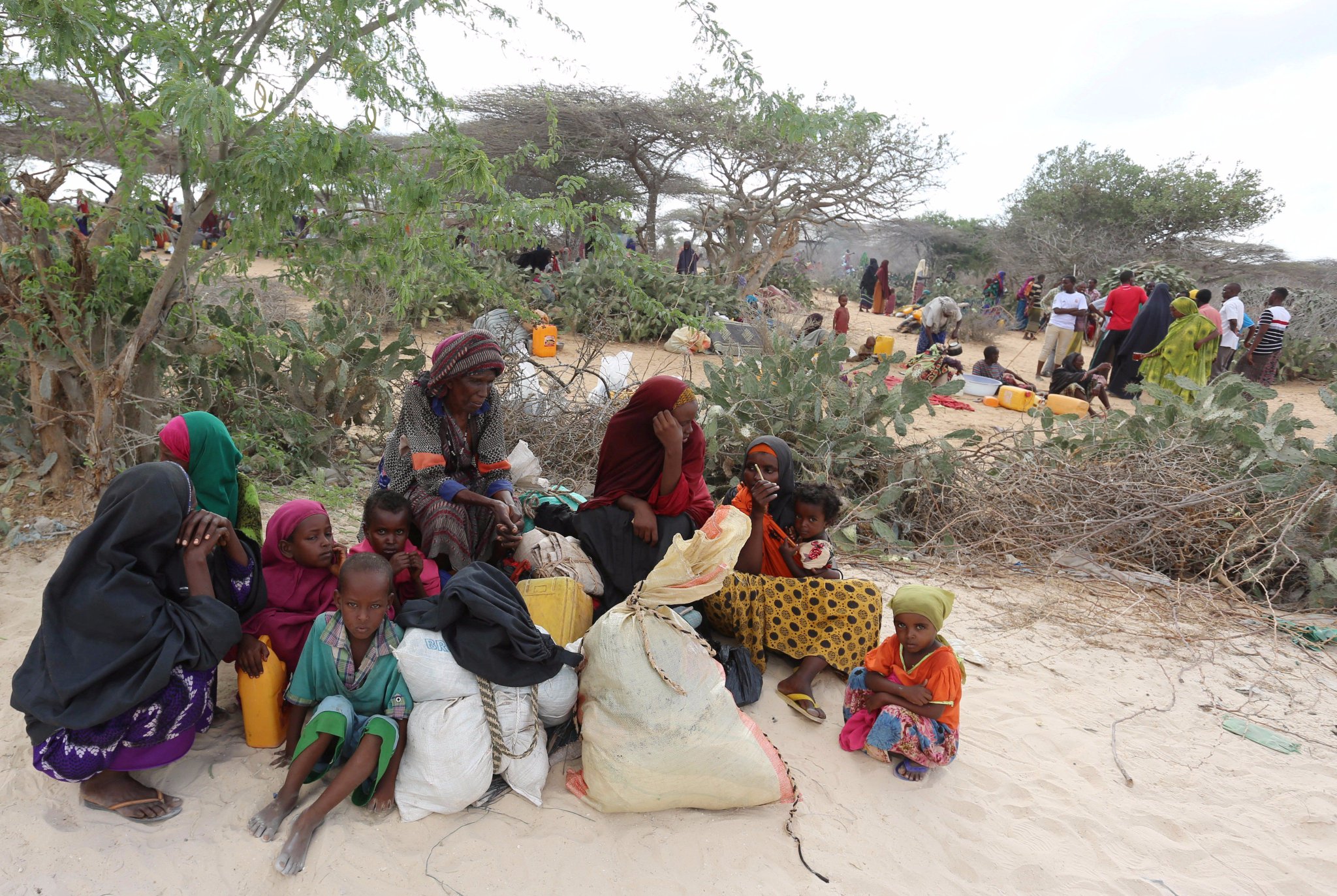 Al-Shabab raids on Lower Shabelle villages, adds to list of abuses in region, govt needs to ensure accountability https://t.co/IsyC9fatMc https://t.co/yDg4RiwNNY