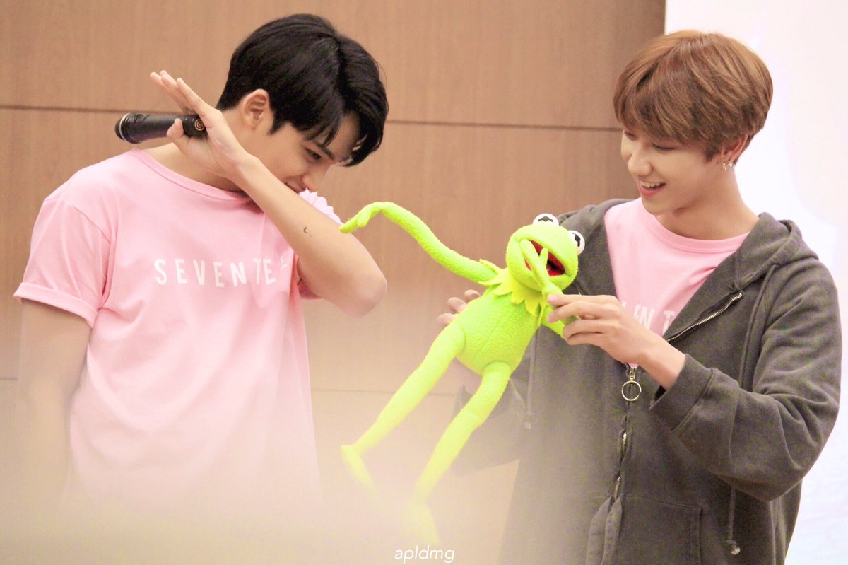 SVT_ships's tweet photo. 🌸 Mingyu &amp; Minghao
#Gyuhao #MinMing (Cr.: _apldmg) https://t.co/LGIuuvqeFw