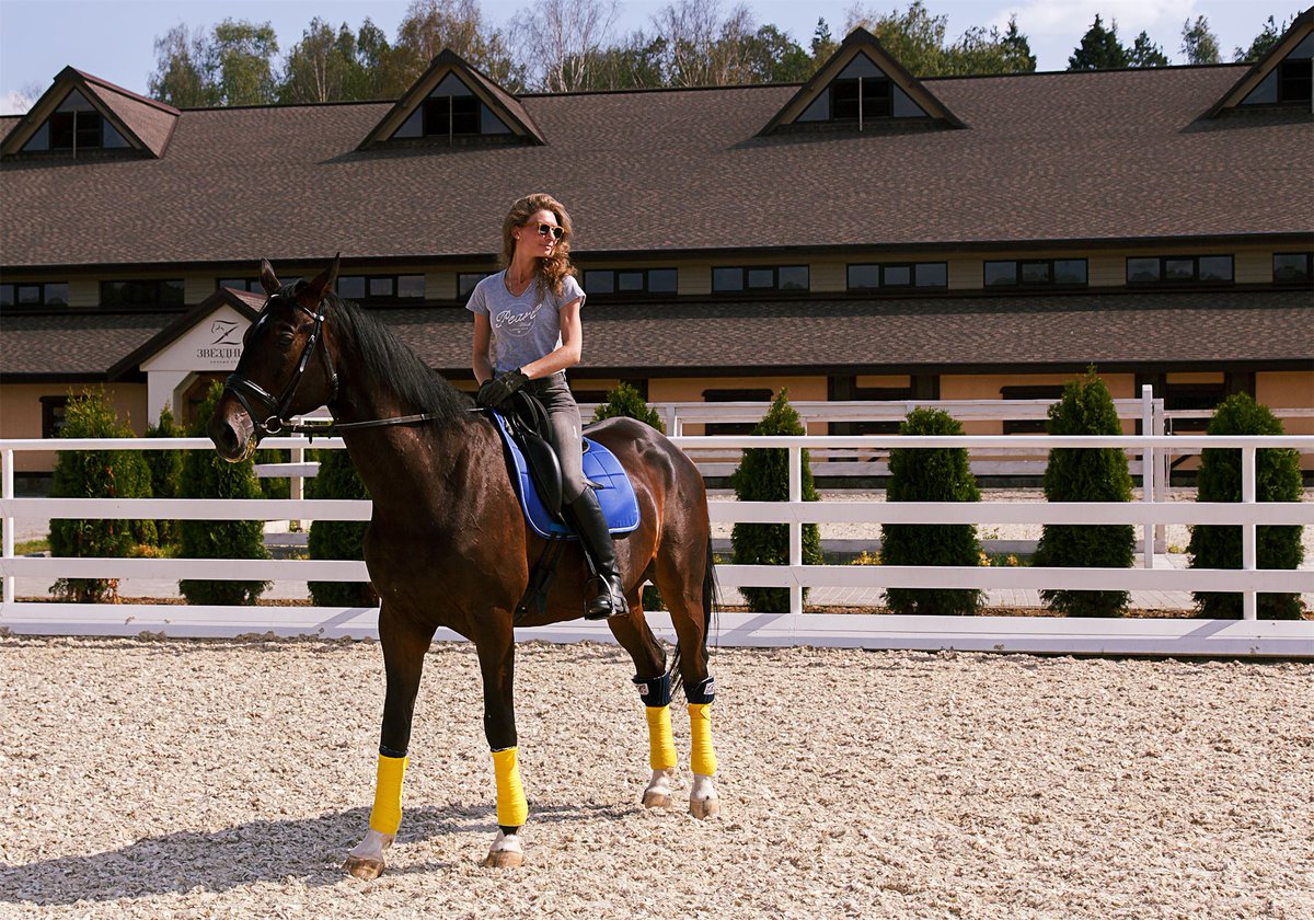 конные комплексы москвы. конные комплексы москвы. кск измайлово денники. битцевский парк конно-спортивный комплекс. яменская усадьба конюшня.