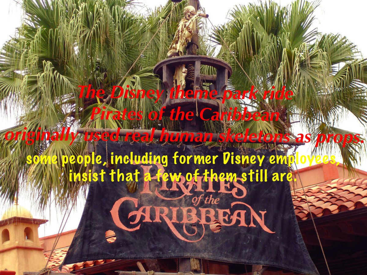 HelpOurFamilySA's tweet image. The Disney theme park ride Pirates of the Caribbean originally used real human skeletons as props 🤢😱😶