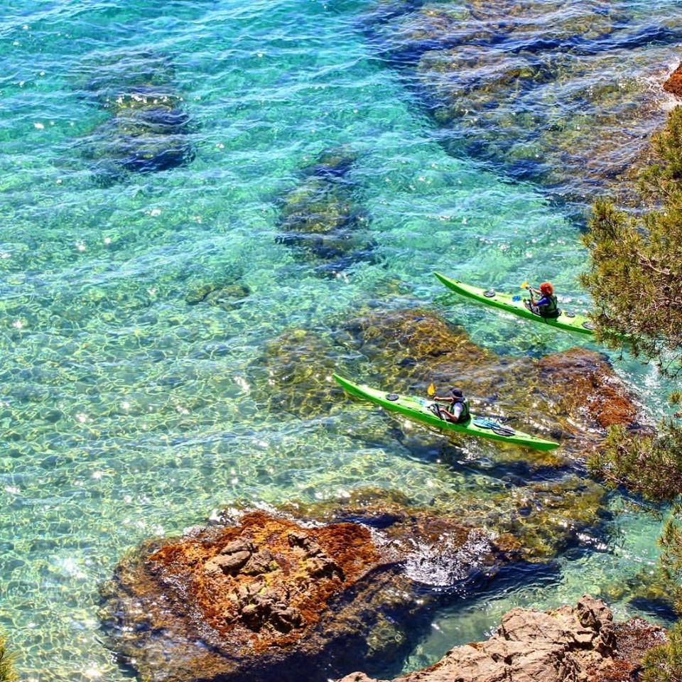 TRANSBRAVA kayak & paddle SUP tweet media