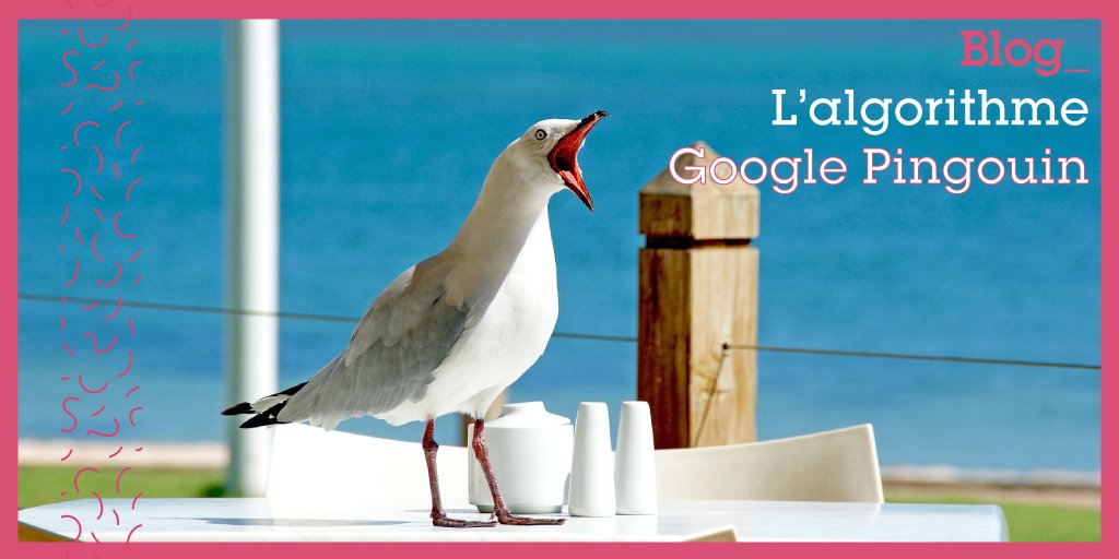 LAgenceY's tweet photo. #Blog _ #liens et #motsclés ... C'est l'article #référencement de la semaine ! Zoom sur #GooglePingouin 👉🏼 https://t.co/lfNgn8zypy https://t.co/Fgyp5P6V9U