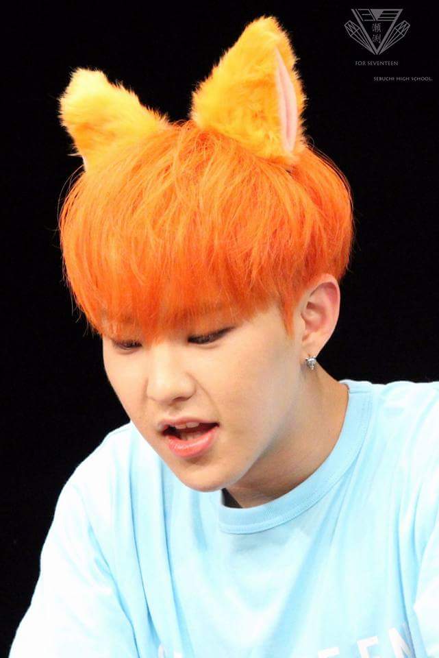 fishhr1017's tweet photo. fox Hoshi and bunny Dino!
#soonchan
Dino photo by @michan_0211 
Who know this Hoshi photo is who take? Pls help me tag this! https://t.co/IpibpEiDRR