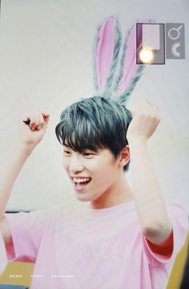 fishhr1017's tweet photo. fox Hoshi and bunny Dino!
#soonchan
Dino photo by @michan_0211 
Who know this Hoshi photo is who take? Pls help me tag this! https://t.co/IpibpEiDRR