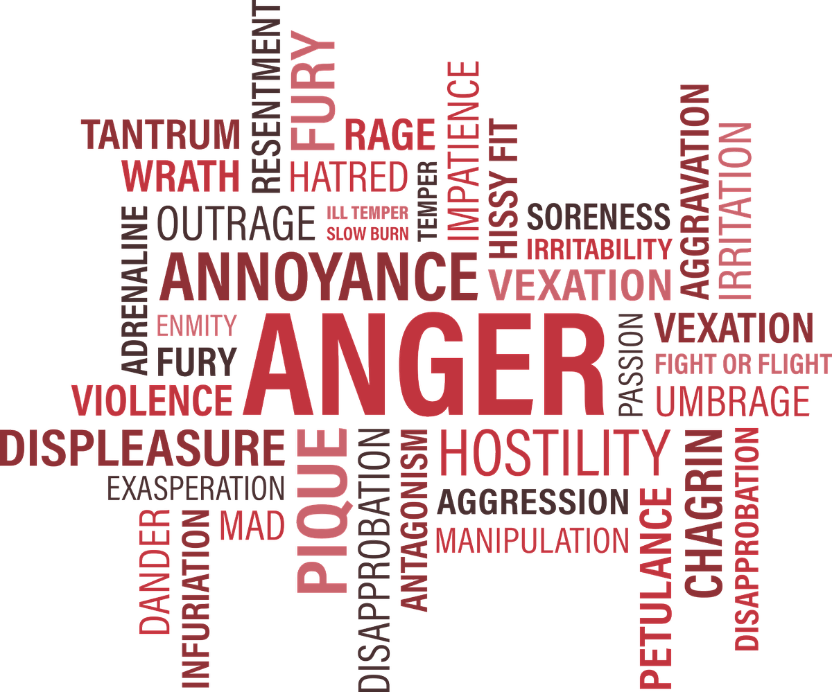 Goodseed_House's tweet photo. https://t.co/19ydhKhCjg  New Article of the Week!!!! #anger #toddler #parents #love #care #connection #communication #child #kiddy #kids https://t.co/ITmofAjZj4