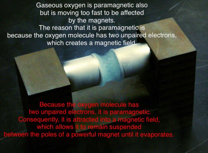 HelpOurFamilySA's tweet image. Liquid Oxygen is attracted into a magnetic field. Gaseous oxygen moves too fast to be affected even though it's paramagnetic too. ☺️