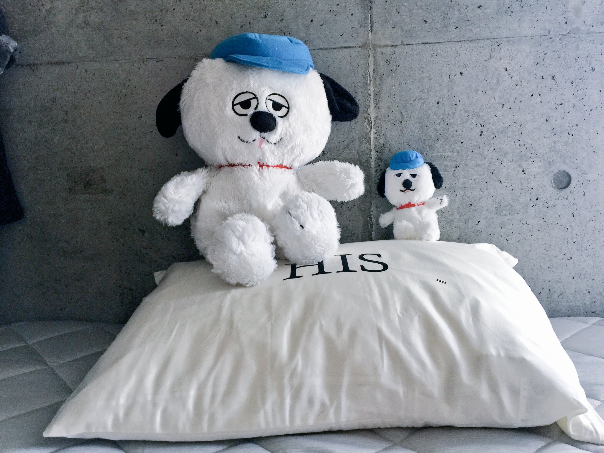 Olaf Olafs Are Here オラフ スヌーピー Olaf Snoopy Dog T Co L1z6zfc3jq Twitter