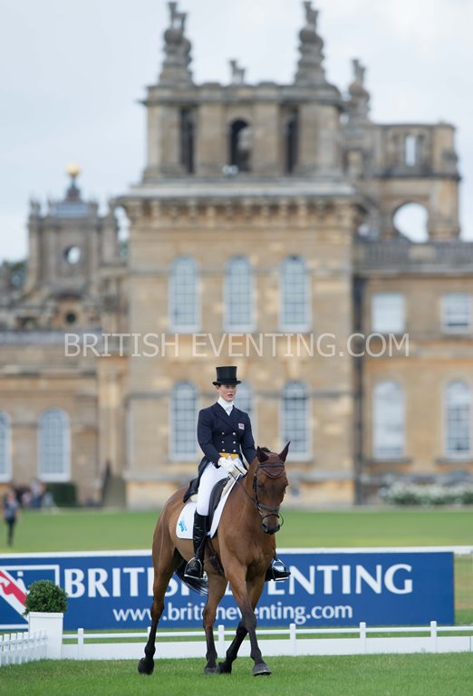 BEventing's tweet photo. BE members! 4⃣ days left to use your 25% discount on up to 4⃣ general admission 🎟 to the @SYMotorUK @BlenheimHorse! https://t.co/UnkRdD9BLe https://t.co/MbAbBKFKZg