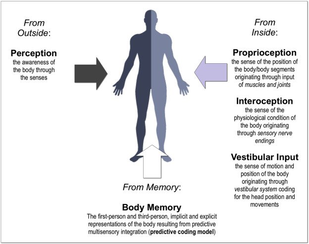 sarcastic_f's tweet photo. Neuroscience of Body Memory: from the Self through the Space to the Others https://t.co/iKauDdPaBG integration of multiple representations https://t.co/gxvwK7BxFI