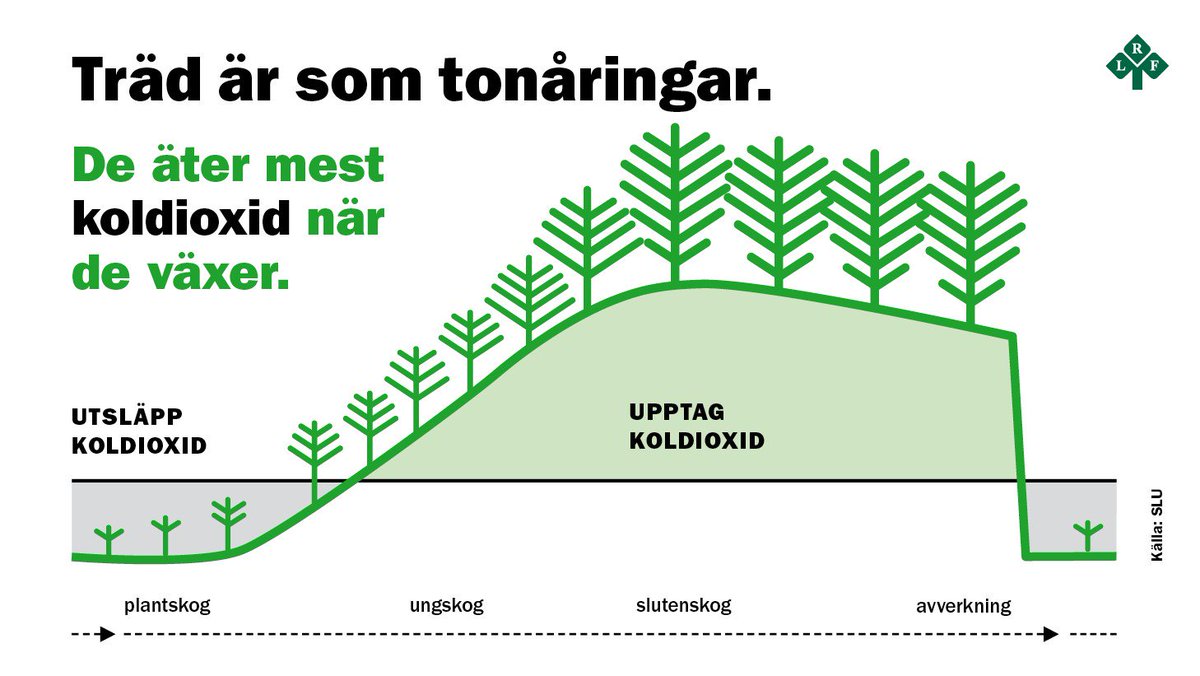 När vi får sköta skogen och låta den växa. #detgodaägandet #brukaförklimatet