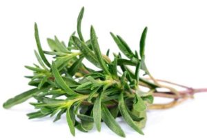 reiimmune's tweet photo. History &amp; Benefits of Thyme #TBThursday https://t.co/U1kacsdzZI https://t.co/Y28c8ji6M1