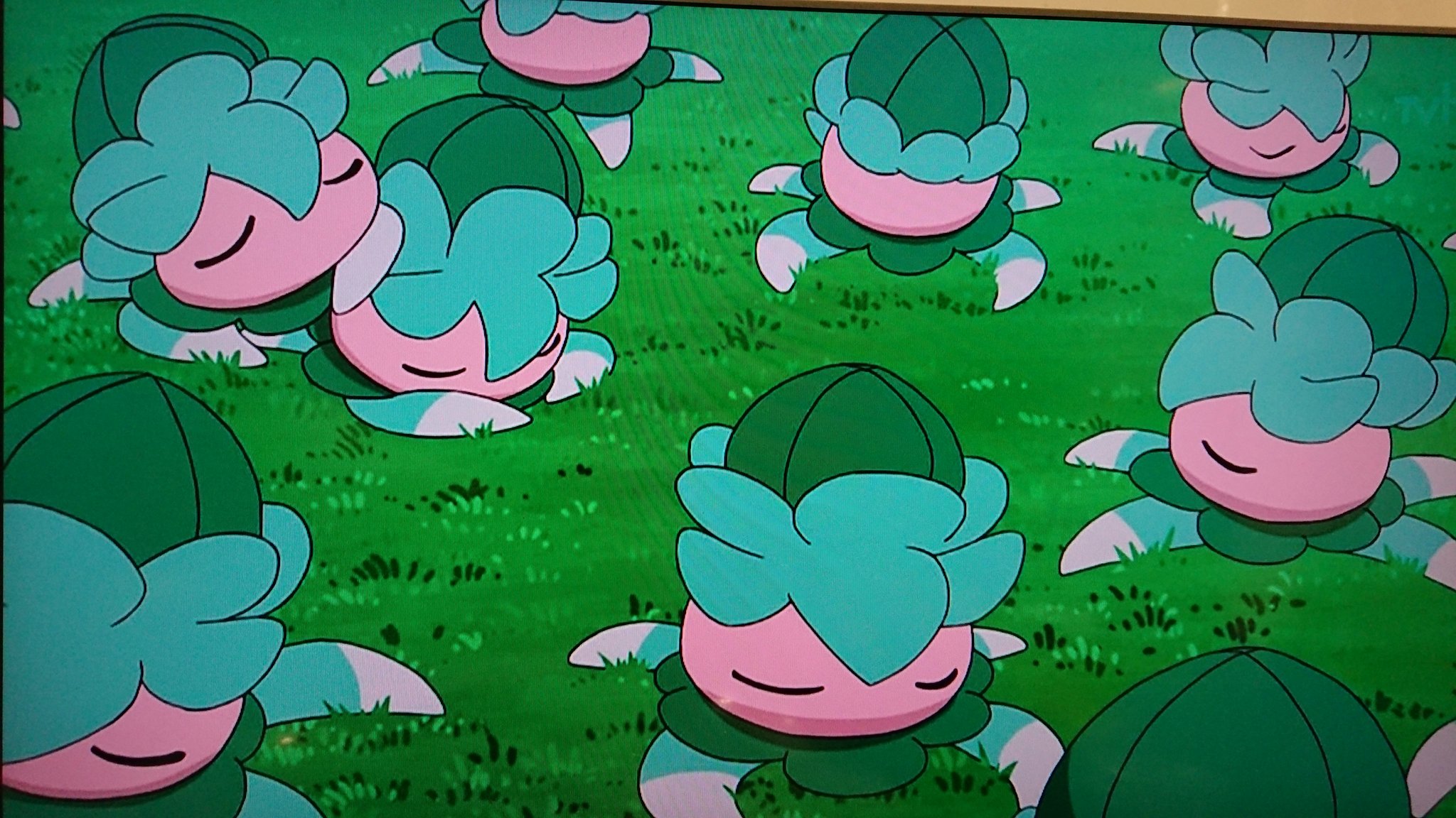 エターナル 個人的に愛でているポケモンカリキリさん ついにアニメにこんにちは ﾉ 超っっっ可愛い 埋まってるけど ポケモンサンムーン カリキリ ラランテスも可愛い T Co 9wrc8wk2mi Twitter