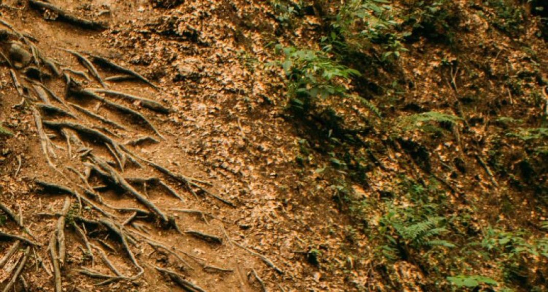 La genómica puede hacer crecer la economía del país. buff.ly/2usXes9