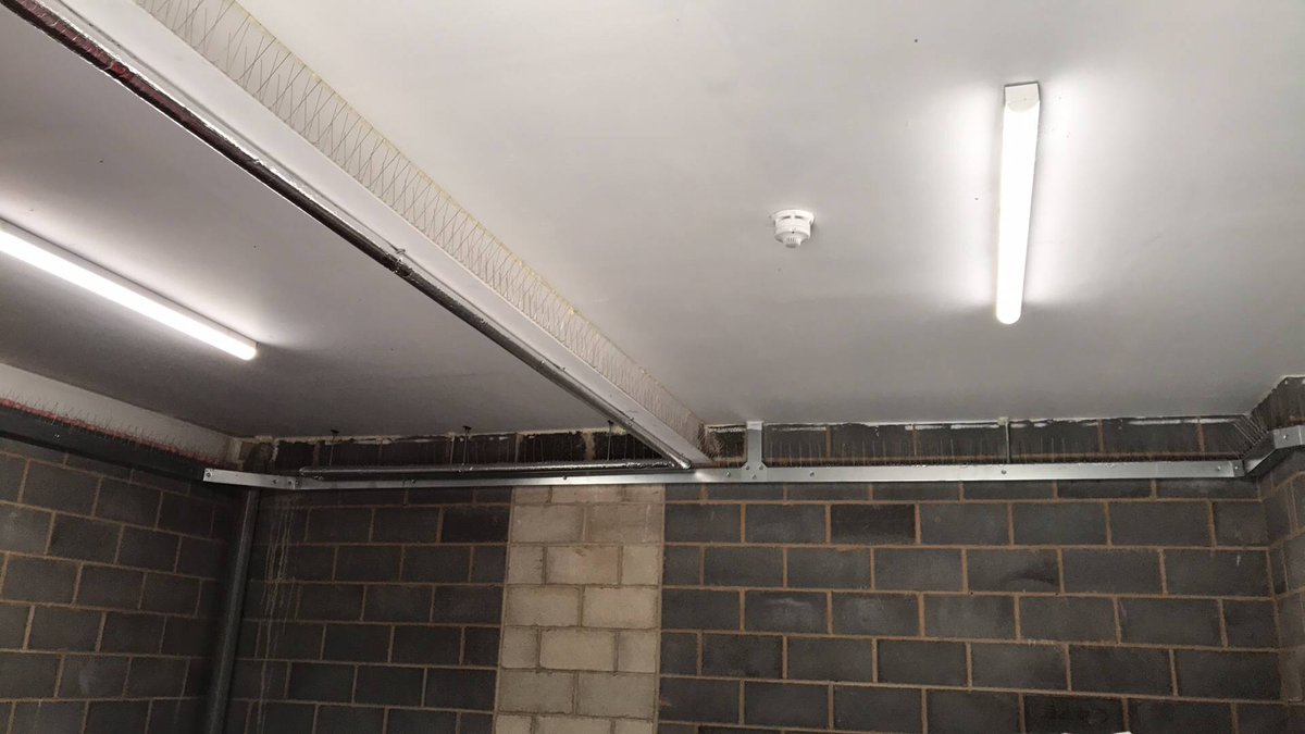 PESTFREEUK's tweet image. Its sooo spikey!! #pestcontrol #coventry #ethicalsolutions #pigeons #student #accommodation