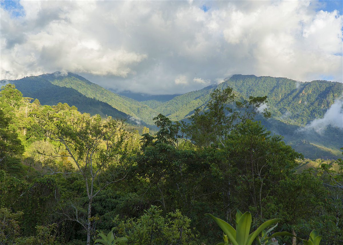 lonelyplanet's tweet photo. Top 10 things to do in #CostaRica for first-timers https://t.co/kyrO8irDgY #travel https://t.co/Vl1EAcLWJx
