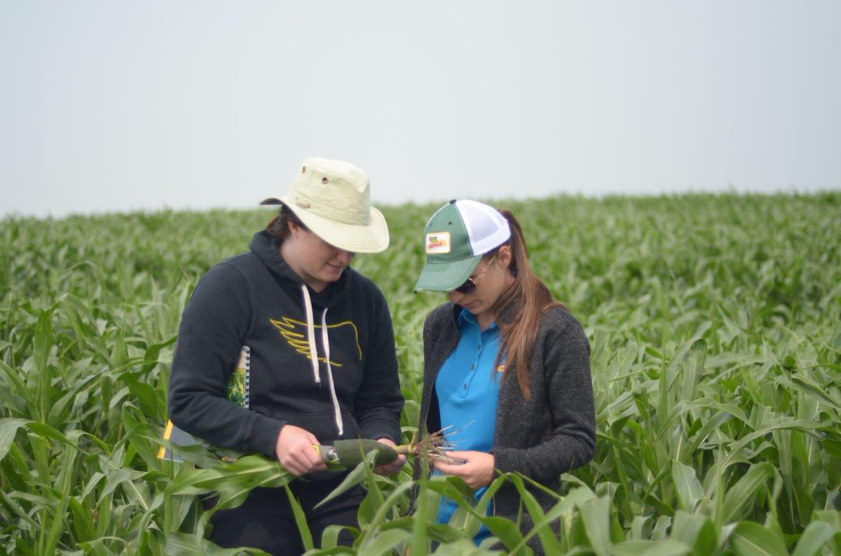 farmsofcanada's tweet photo. One of the best parts of my role with #DEKALB is watching our summer assistants learn and grow! Plus they teach me so much as well! #winwin https://t.co/sSGMtvWfjE