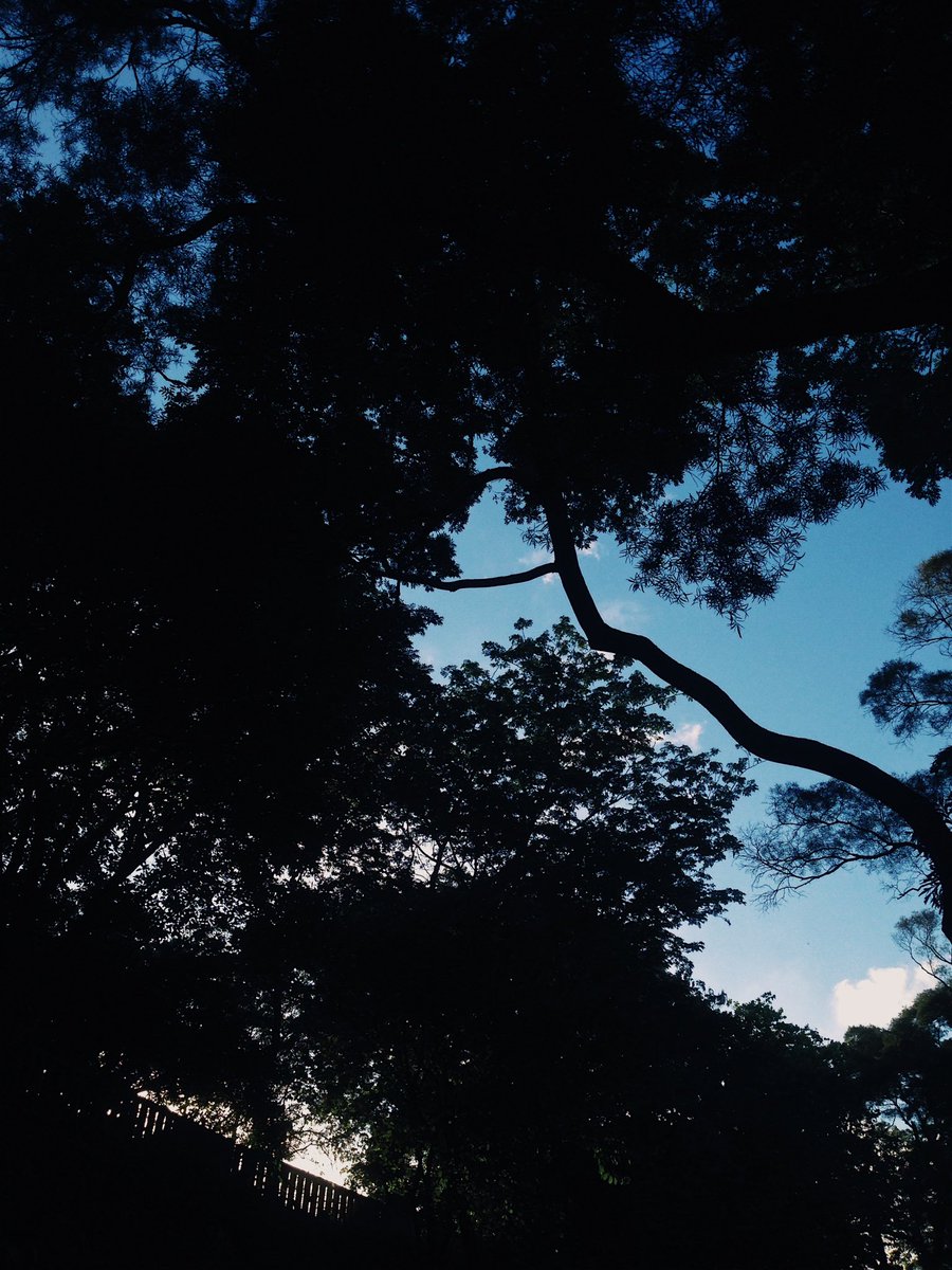 LMlovesPhotos's tweet photo. People change. Sometimes even the longest known friends are not who they used to be. #photography #like #follow #hong kong #silhouette https://t.co/2UjYsqT1Zt