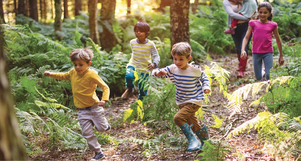 NAEYC's tweet photo. Outdoor Play Is Essential to Whole Child Development https://t.co/q581rJGUE2 https://t.co/GMZgKzU5T3