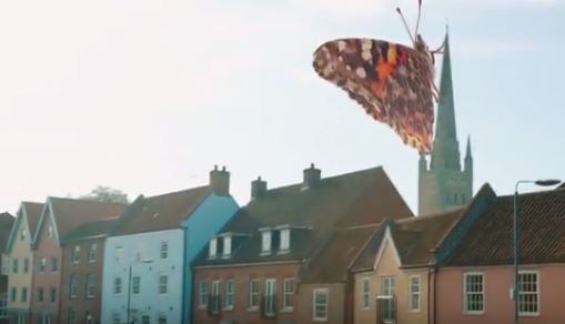 Is that #mothra on @Nrw_Cathedral spire?! Or a BRILL new video from our friends @Pensthorpe. Take a look bit.ly/19ptIkh @NSTA_uk