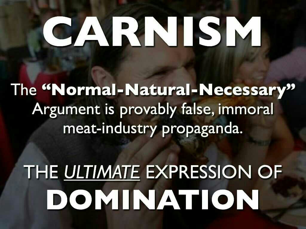 curespyder13's tweet photo. #DestroyCarnism #Vegan #AnimalRights #FuckCapitalism #AnimalLiberation #GoVegan #ALF #VoteHumaneParty https://t.co/xXk8QnBudz