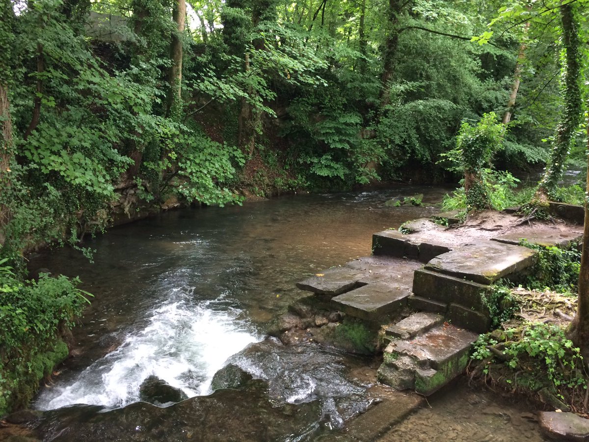 Steven Gravell tweet media