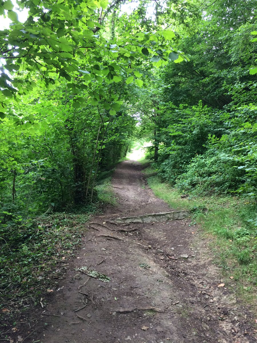 Steven Gravell tweet media