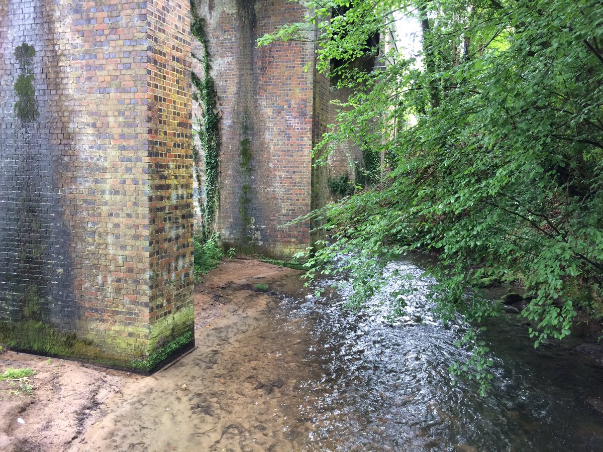 Steven Gravell tweet media