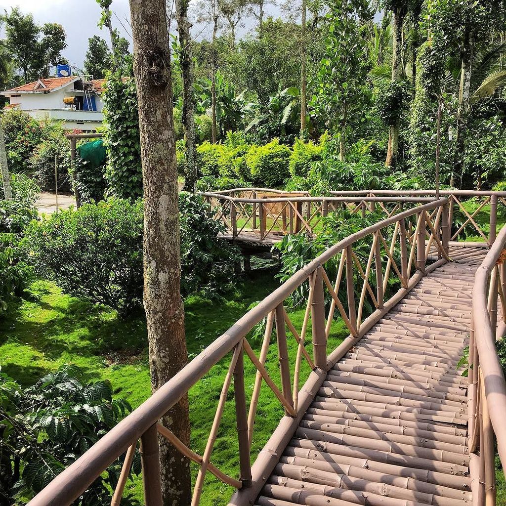 TellJuicy's tweet photo. COFFEE PLANTATION 🇮🇳 Our Airbnb in Wayanad on a coffee plantation in Southern India #India
#coffee #wayanad #SouthIndia #travel #discoveryo… https://t.co/142kJOR4jV