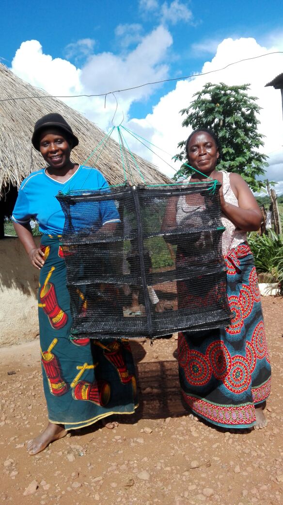 SAPPZambia's tweet photo. Creating market linkages is essential for improving #foodsecurity &amp; income generation. Meet Rufunsa women making solar sun-drying bags. https://t.co/og17F0FnGe