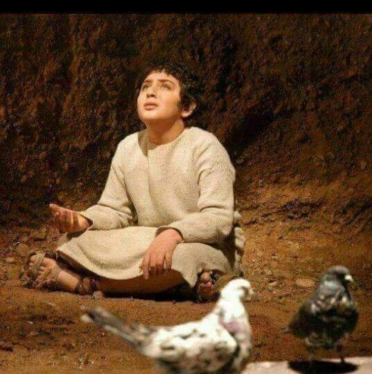 سماا tweet media