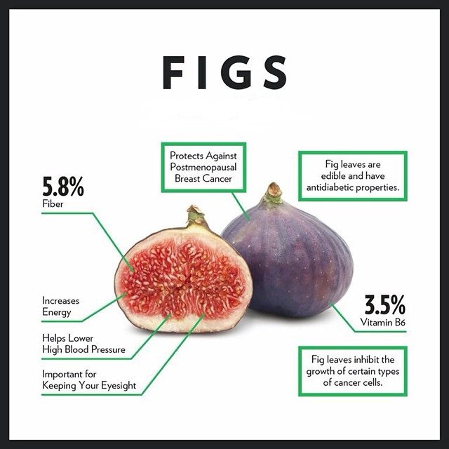 mindsconcept's tweet photo. Figs https://t.co/xmAlf1So79