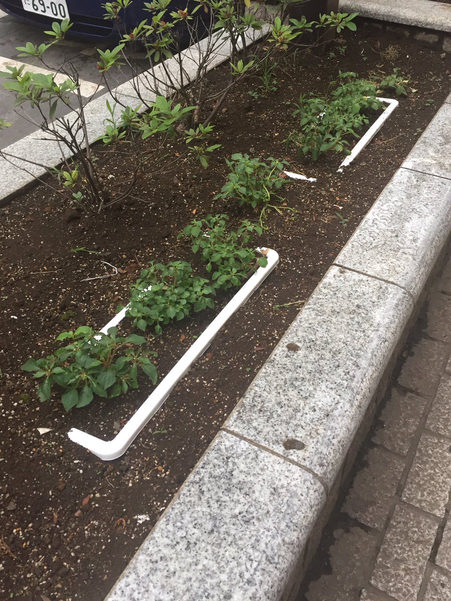 site_oh's tweet photo. 再帰的 https://t.co/8nVxqXSLVP