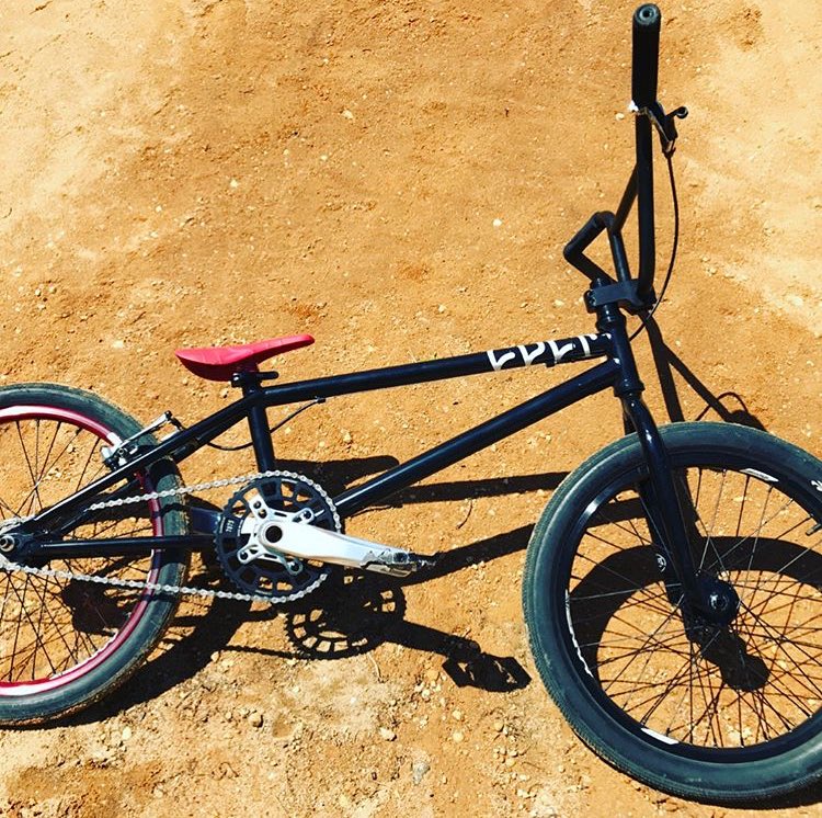 cult race frame