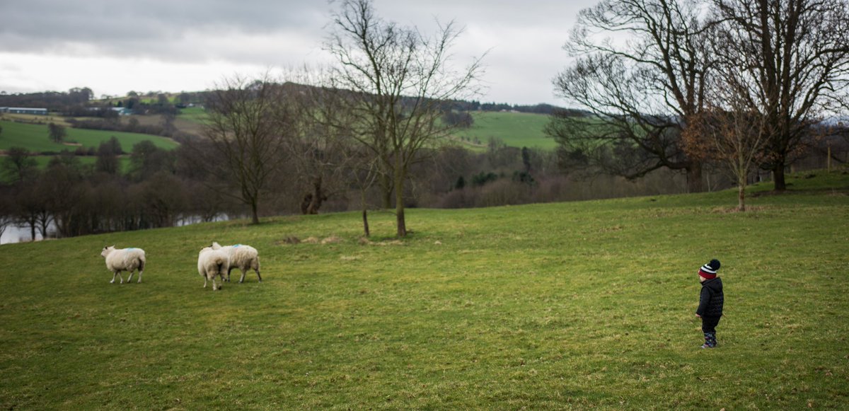 ecainphotos's tweet image. Being a bit sheepish... @YSPsculpture 
. 
. 
. 
#eddiecainphotography 
#bramcain
#Leedsphotographer 
#Yorkshire
