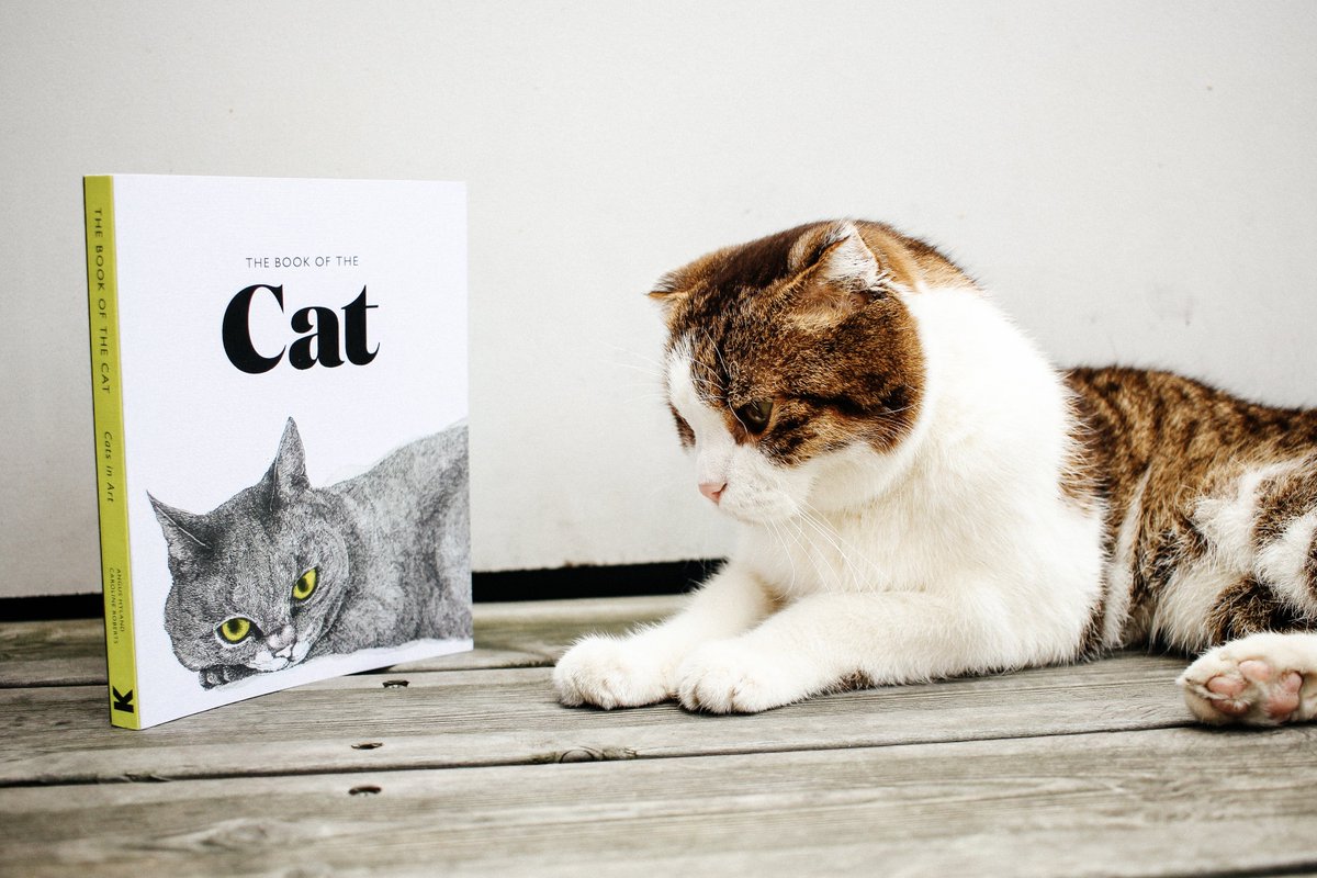 Check out LKP-designer Nicolas' #scottishfold 'BébéChat' getting a #sneakpeak of The Book of the Cat this week - I think he likes it!♥️