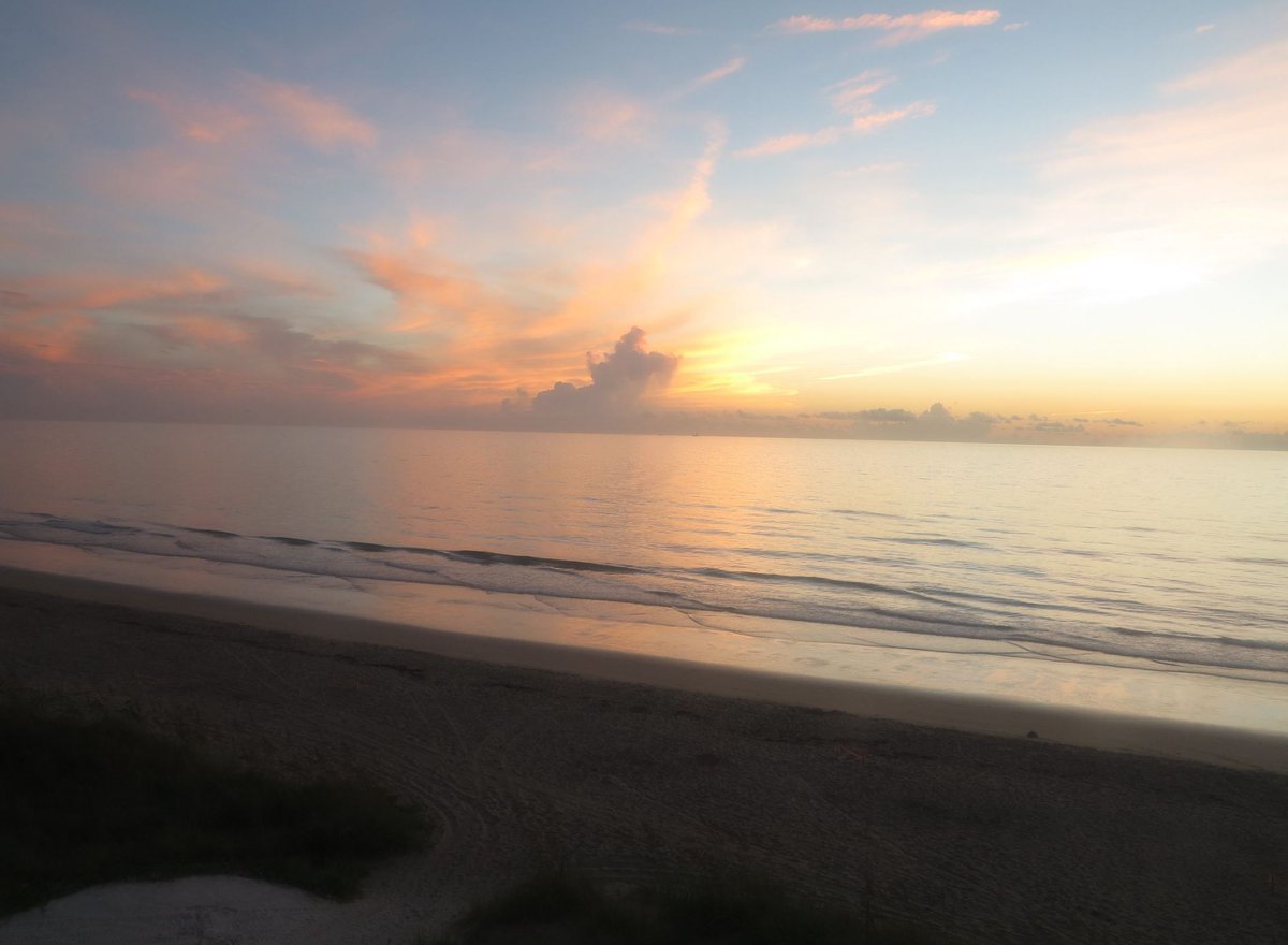 Felicia Combs tweet media