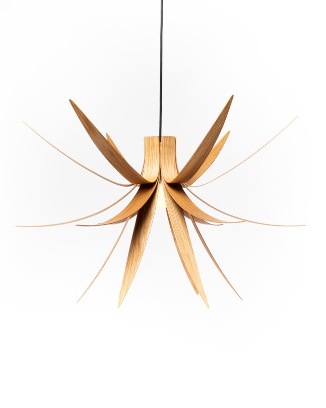 MrsMcDwrites's tweet photo. Visit the V&amp;A's new Plywood exhibition. Review @HamHighProperty @FrankieCrossley https://t.co/JMlsk6q6yf Shown: Iris light @MacMasterDesign https://t.co/GnHh38HWco