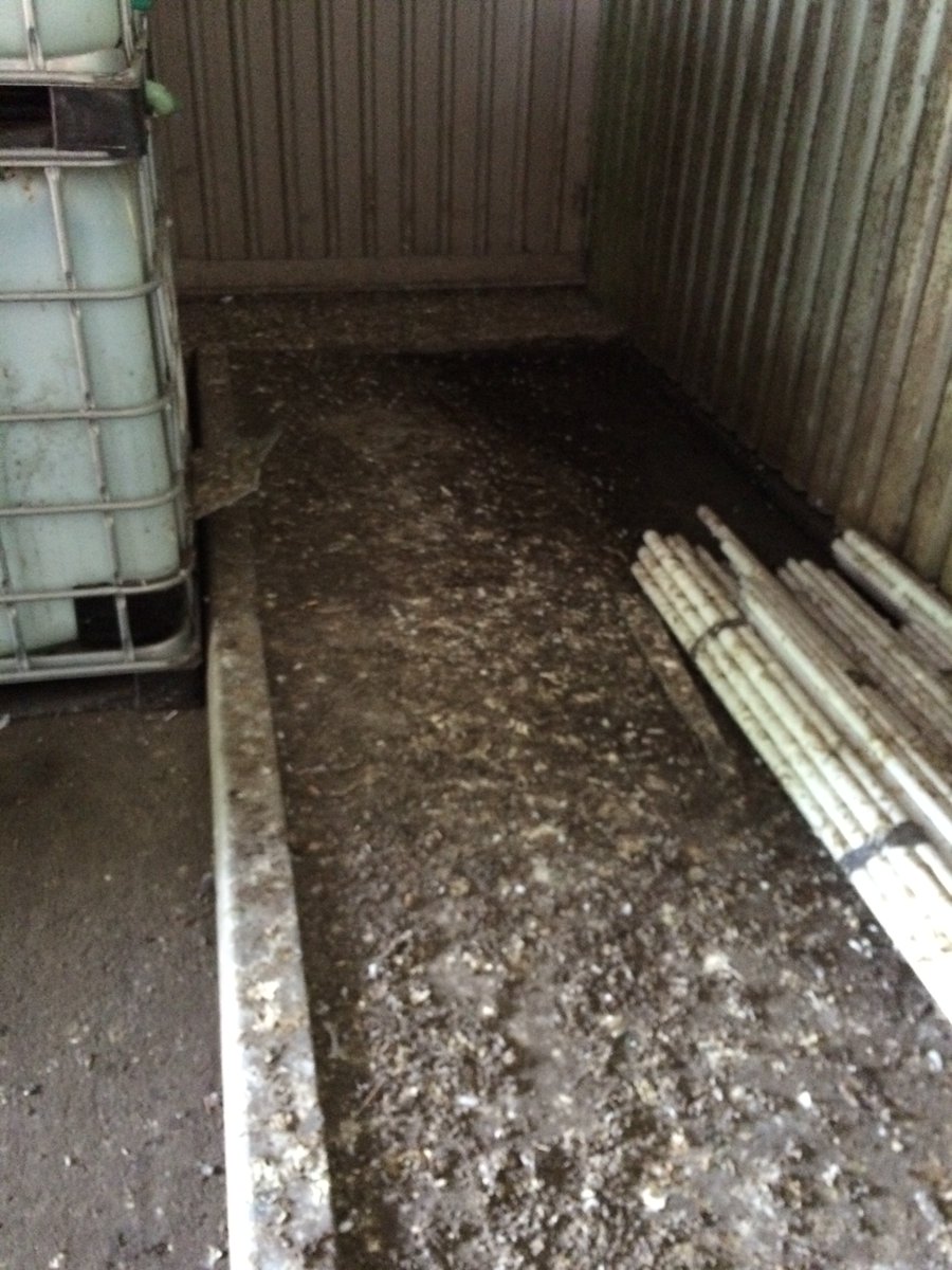 PSUKTweets's tweet photo. #PigeonGuano we'll clean that #PestSolutions &amp; #Innerclean @shorrocktrichem 01942872137 specialist cleaning and disinfection #Bolton https://t.co/YPjsit1xiF