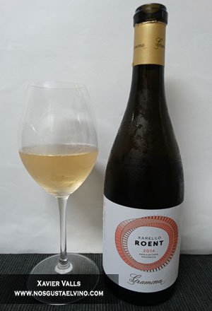 bonrotllo's tweet photo. Gramona Xarel·lo Roent 2014 de Cavas Gramona de la DO Penedès ➤https://t.co/XKET33x9BQ @dopenedes #dopenedes #penedes #fontjui #xarello #vi https://t.co/zRYCIQHjEt