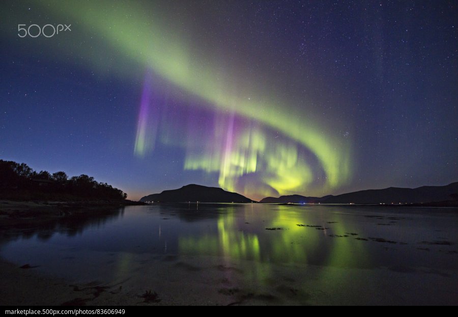 B_Ubiquitous's tweet photo. Reflections by the Bay
#photography by Frank Olsen
#Norway #northernlights #aurora #photo #visitnorway #travel 🇳🇴
https://t.co/3tR5SzHjpD https://t.co/Rzb3FuL21K