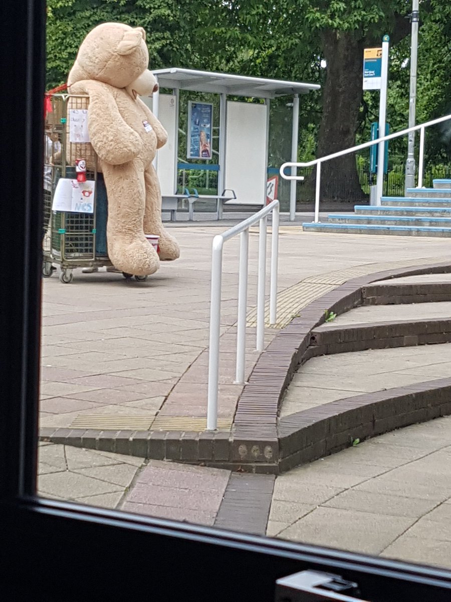 ssulibpanda's tweet photo. @SolentLibrary  Am i being replaced?  *sobs* but, i will miss you, where will i go?, what will i do? ....#ABiggerBear  #NewMascot? 😨🐼🐻 https://t.co/w4OAXmxZQg