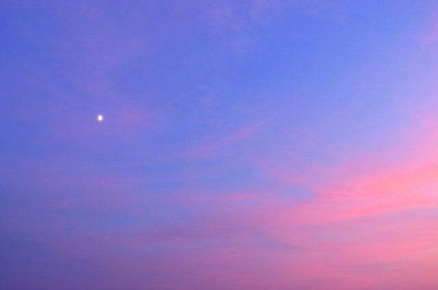 スマホ2台 Twitter Search Twitter スマホ2台 Twitter Search Twitter