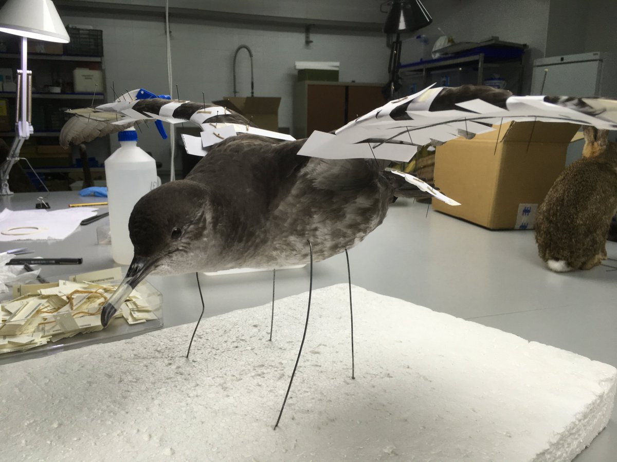 Casa Ciencia Sevilla (CasaCiencia_Sev) Twitter