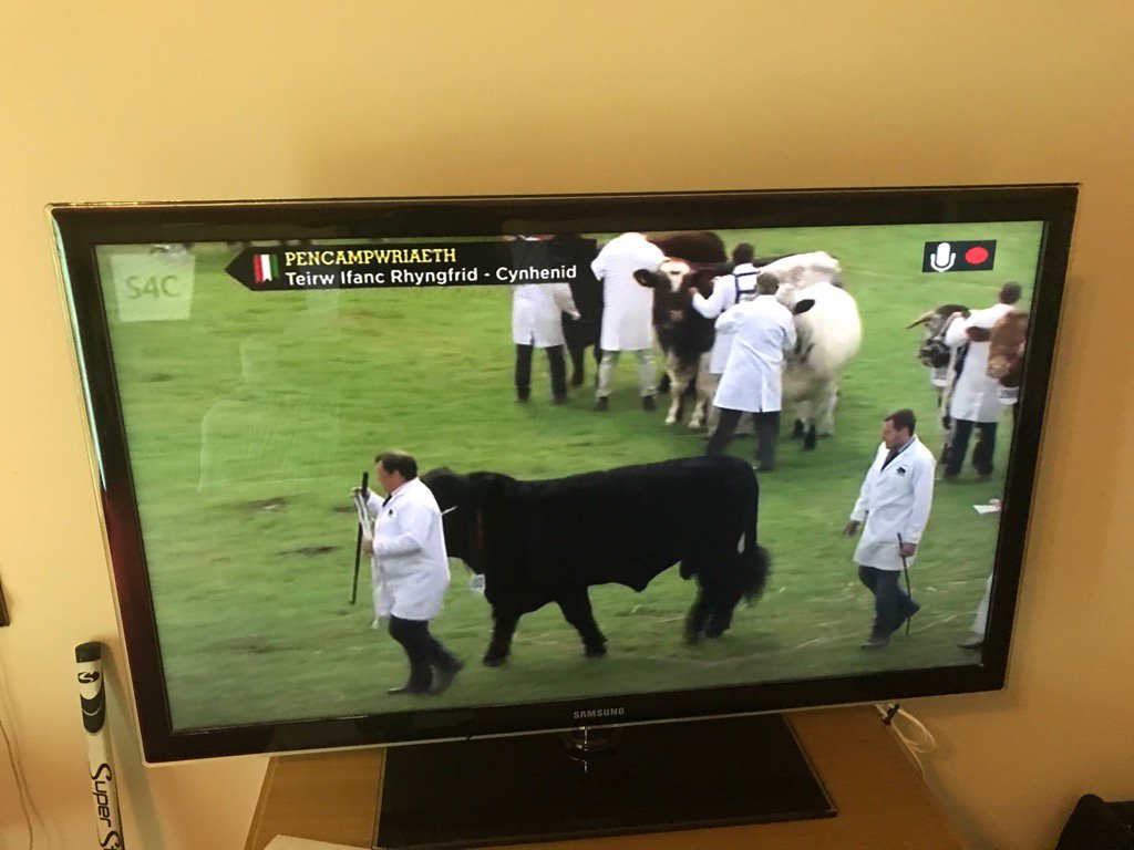 Sir_NickFaldo's tweet photo. Holy cow the weather is brutal! #SrOpen ⛳️ https://t.co/5Ao9sKDw7o