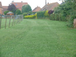 Grassmats's tweet photo. Grass Protection Mesh - Results after 1 week! #grass #grassprotection #mesh #grassprotectionmesh #ground #landscaping #protectionmesh https://t.co/zD47SK3Lqi