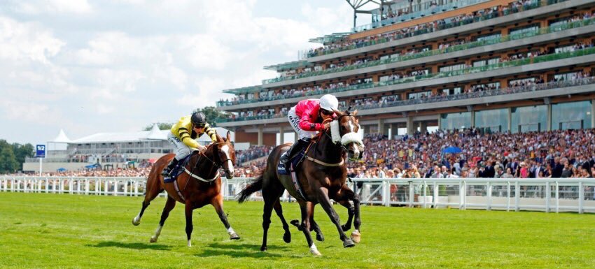 DDFRacing's tweet photo. Yet another pair! FOLLOW &amp; RT for a chance to win 2 tickets to the Dubai Duty Free Shergar Cup @Ascot on Sat 12th August! #DDFShergarCup https://t.co/tL8slU0exk