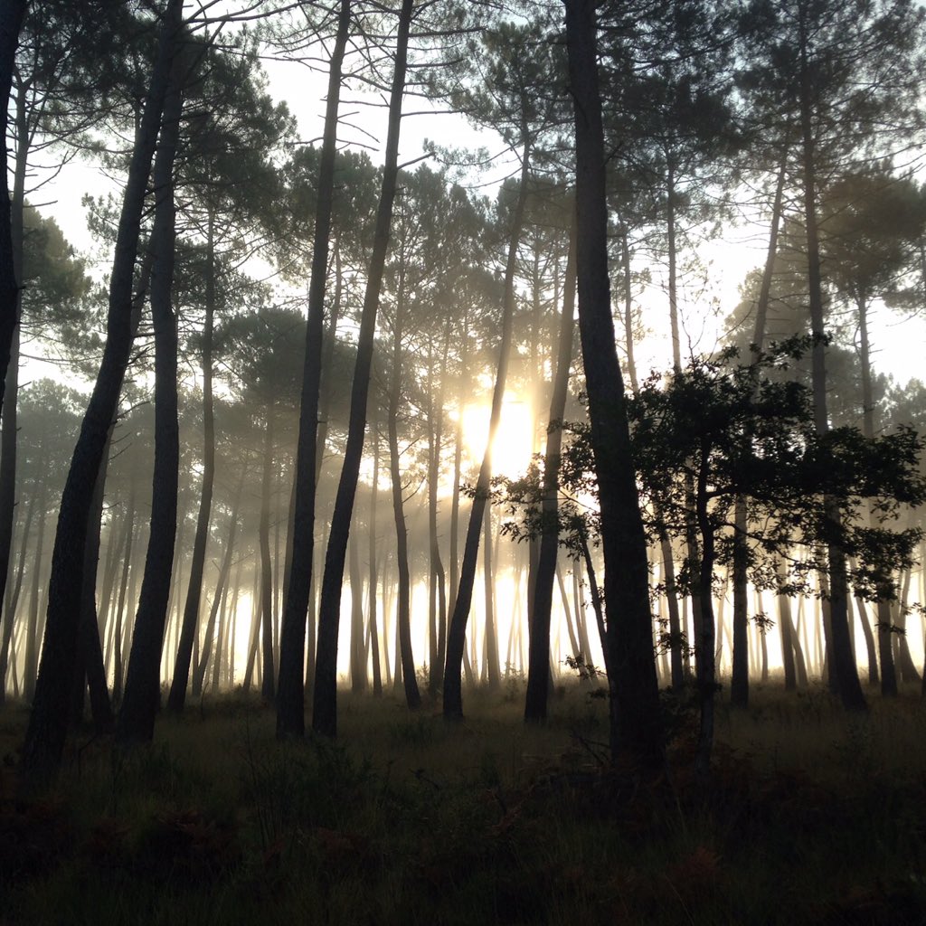LandscapeFrance's tweet photo. #NouvellePhotoDeProfil https://t.co/g1Y5w3LU5P